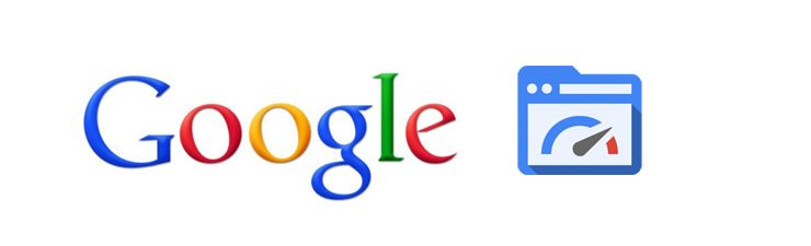 Google-Page-Speed