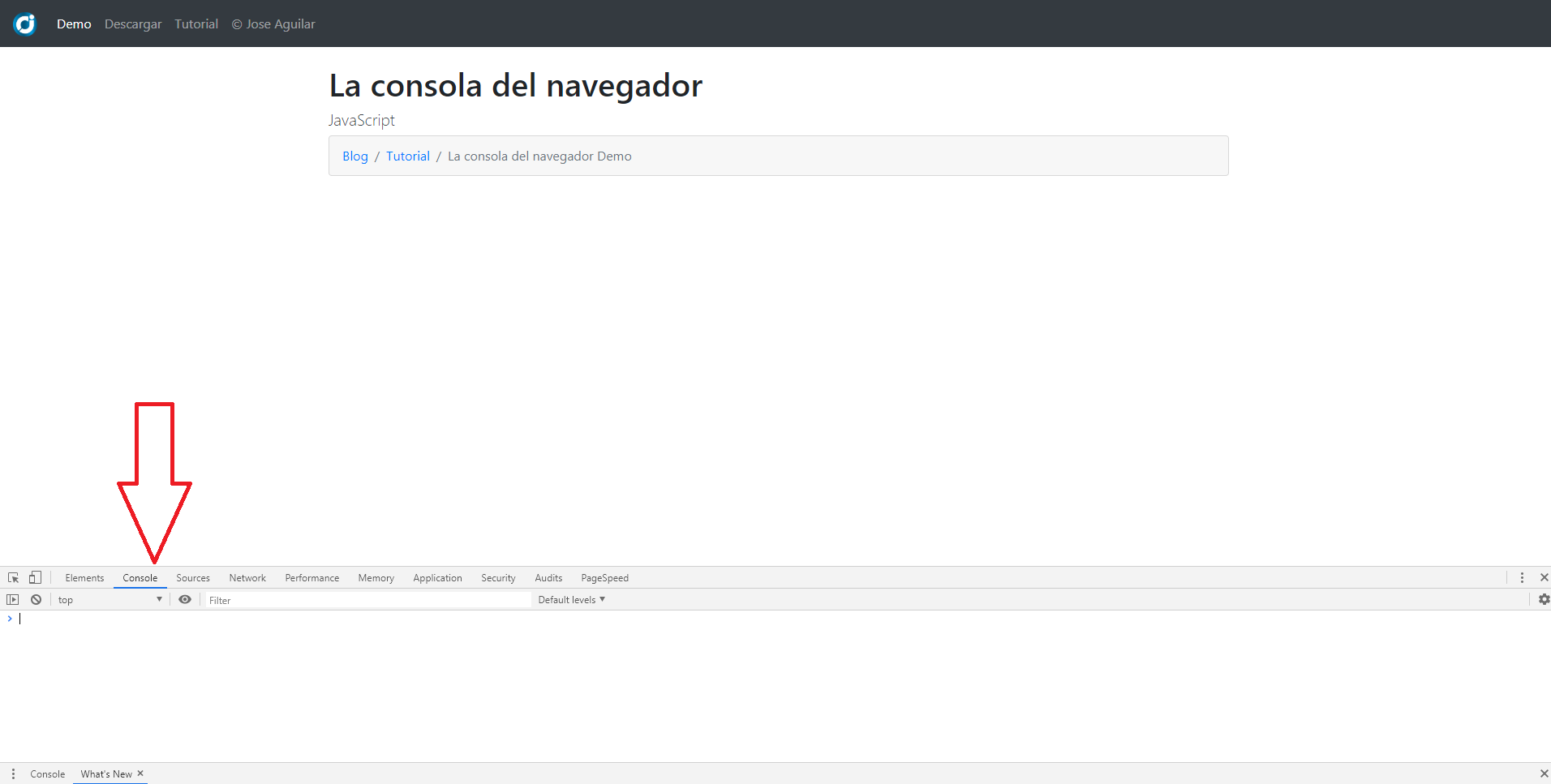 Consola del navegador Google Chrome