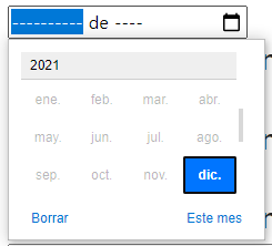 Campo de texto tipo mes
